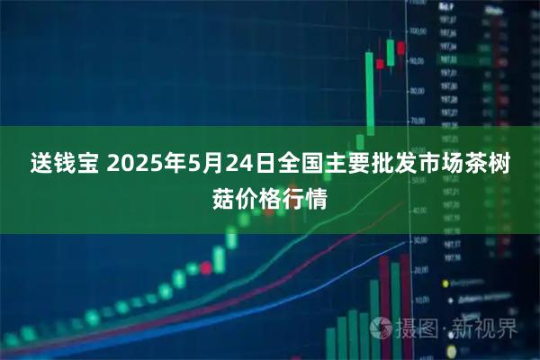 送钱宝 2025年5月24日全国主要批发市场茶树菇价格行情